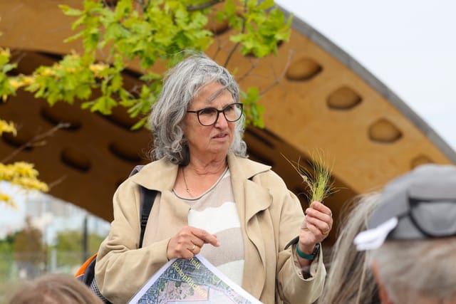 Stadträtin Gabriele Baier