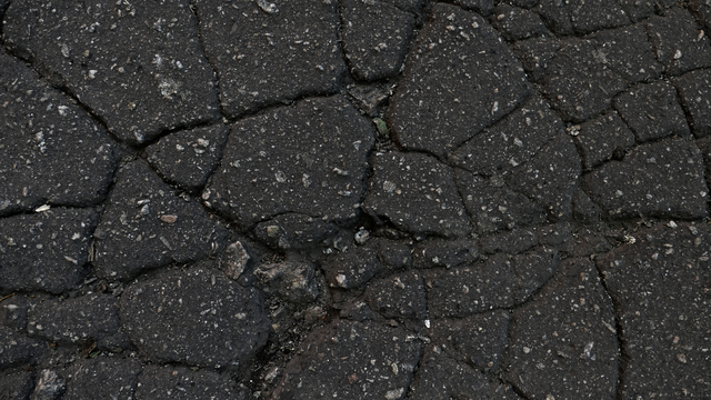 Hitze in der Stadt – Mannheim braucht mehr Grün und weniger Asphalt