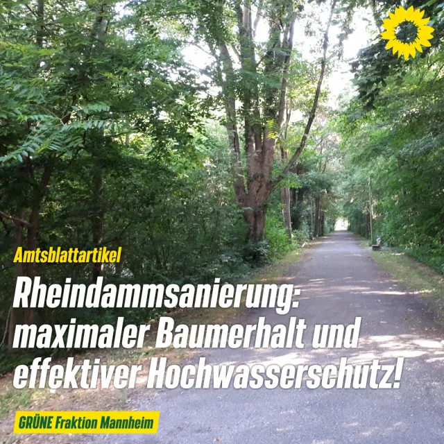 Für maximalen Baumerhalt und effektiven Hochwasserschutz: Einwendungen zur Rheindammsanierung erhoben