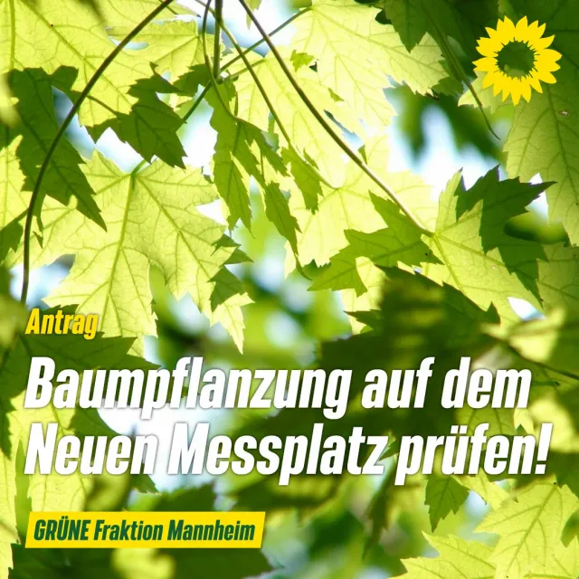 Baumpflanzungen auf dem Neuen Messplatz