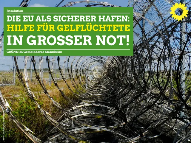 Die EU als sicherer Hafen – Hilfe für Geflüchtete in großer Not!