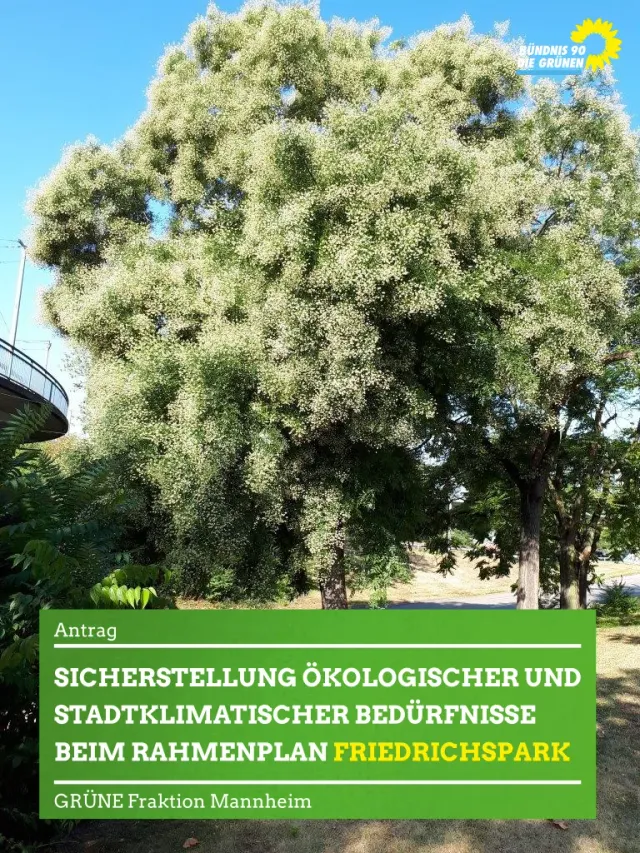 Sicherstellung ökologischer und stadtklimatischer Bedürfnisse beim Rahmenplan „Friedrichspark“