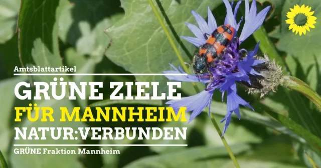 Internationaler Tag der Umwelt
