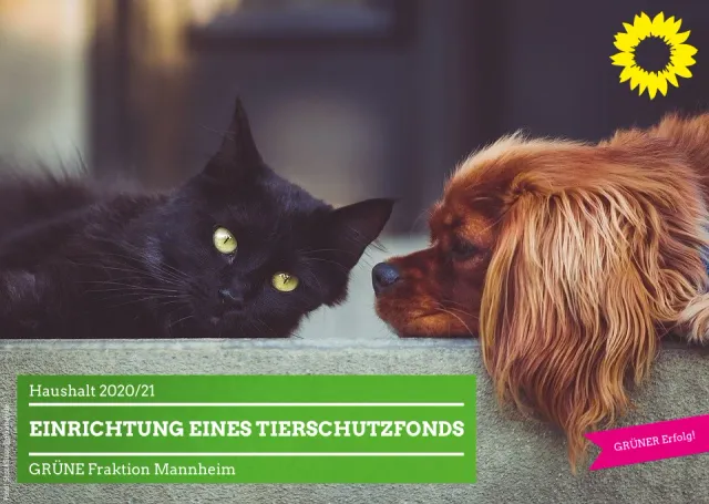Etat 2020/21: Einrichtung eines Tierschutzfonds