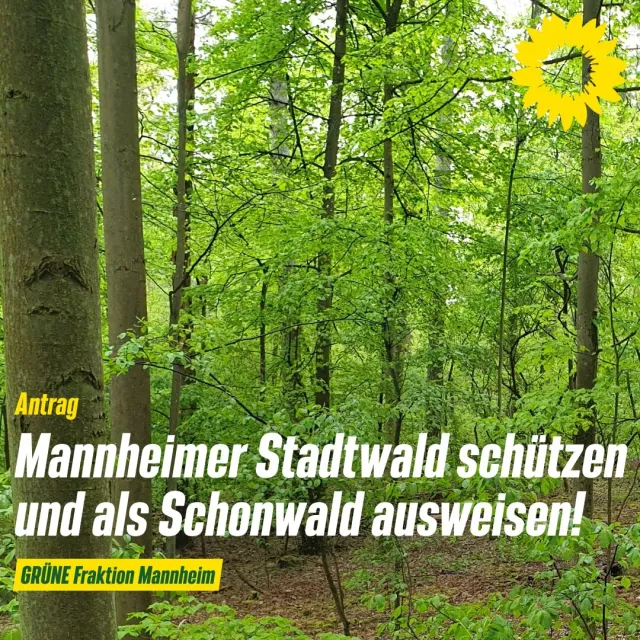 Schutz des Mannheimer Stadtwaldes – Ausweisung von Bann- und Schonwaldgebieten