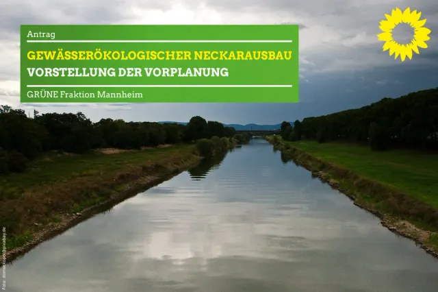 Gewässerökologischer Neckarausbau – Vorstellung der  Vorplanung