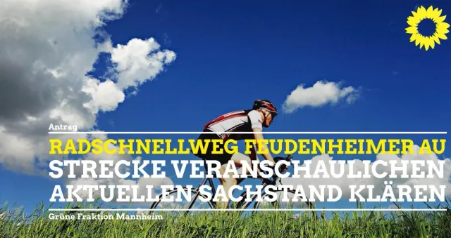 Aktueller Sachstand Radschnellweg durch die Feudenheimer Au