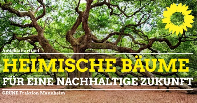 Heimische Bäume als nachhaltige Investition in die Zukunft