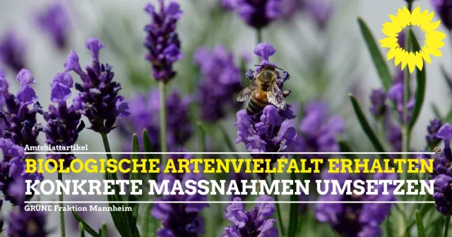 15. UN-Konferenz zur biologischen Vielfalt – GRÜNE Fraktion setzt sich für konkrete Maßnahmen in Mannheim ein
