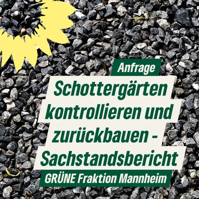 Schottergärten kontrollieren und zurückbauen – Sachstandsbericht