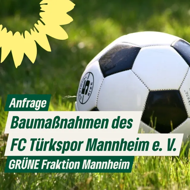 Baumaßnahmen des FC Türkspor Mannheim e. V.