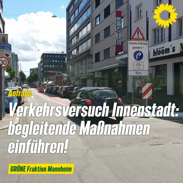 Maßnahmen zur erfolgreichen Durchführung des Verkehrsversuchs