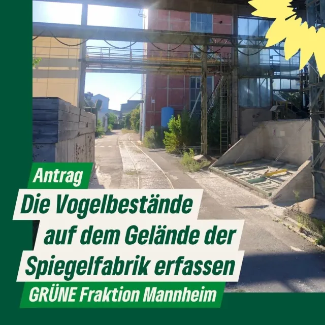 Die Vogelbestände auf dem Gelände der Spiegelfabrik erfassen