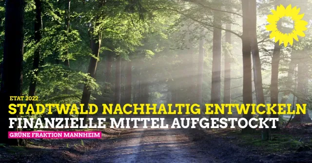 Stadtwald naturnah und klimastabil entwickeln