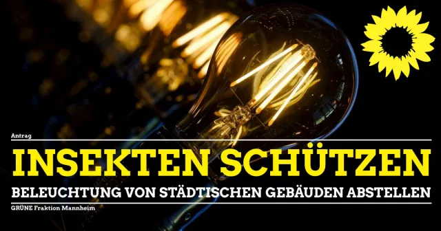 Licht aus für Insekten