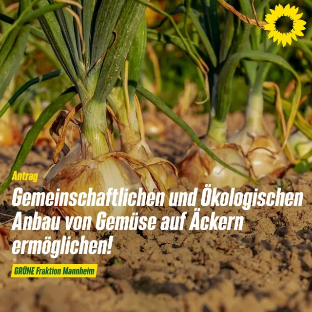 Mehr Vielfalt auf Mannheims Äckern – Initiativen unterstützen!