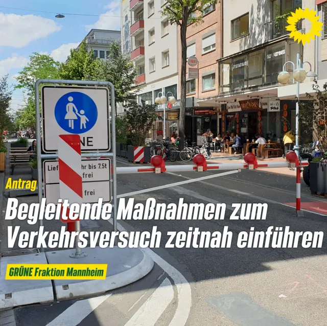 Begleitende Maßnahmen zum Verkehrsversuch