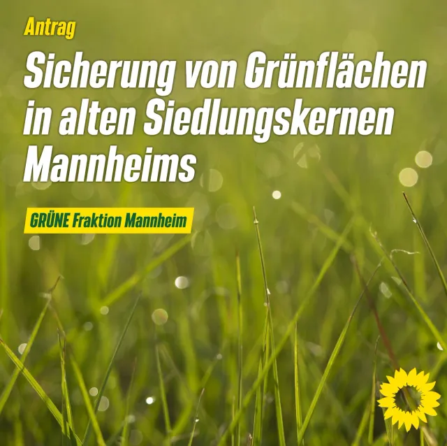 Sicherung von Grünstrukturen in den alten Siedlungskernen Mannheims
