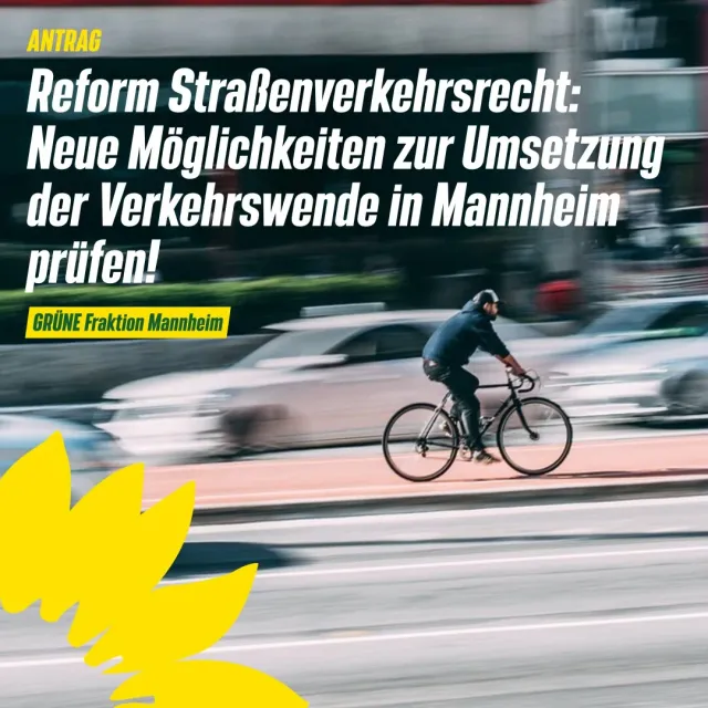 Reform des Straßenverkehrsrechts
