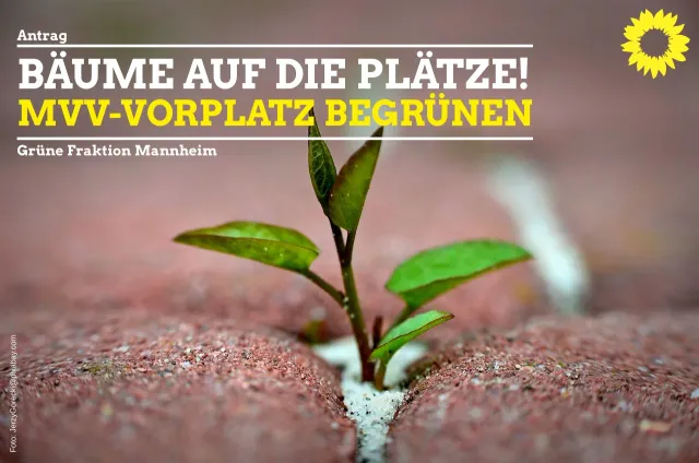 Bäume auf die Plätze – MVV-Vorplatz begrünen