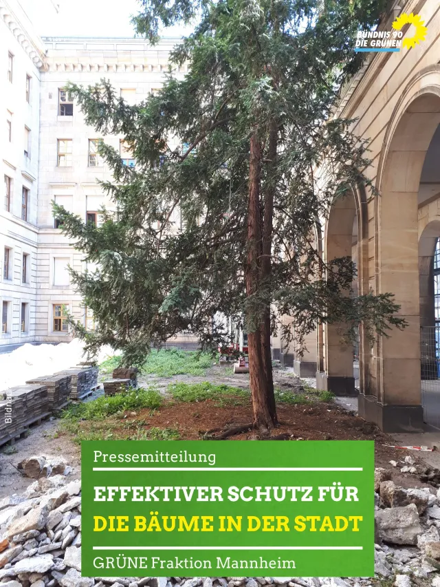 Effektiver Schutz für die Bäume in der Stadt