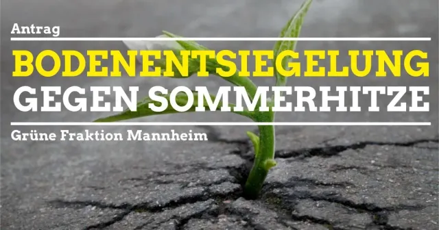 Entsiegelung gegen Sommerhitze