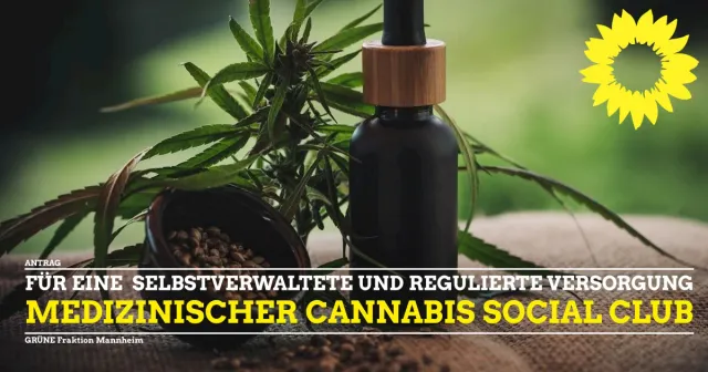 Prüfung eines Medizinischen Social Cannabis Clubs
