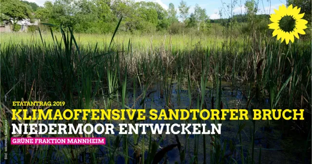 Etat 2020/21: Klimaoffensive & Biodiversität: Sandtorfer Bruch zum Niedermoor entwickeln