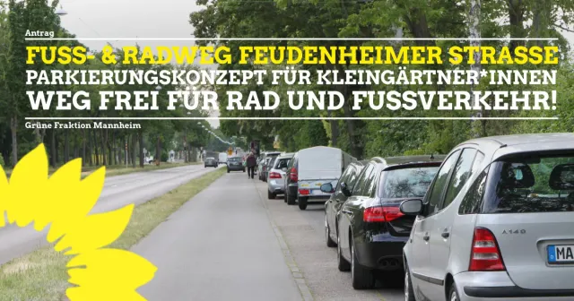Fuß- und Radweg in der Feudenheimer Straße