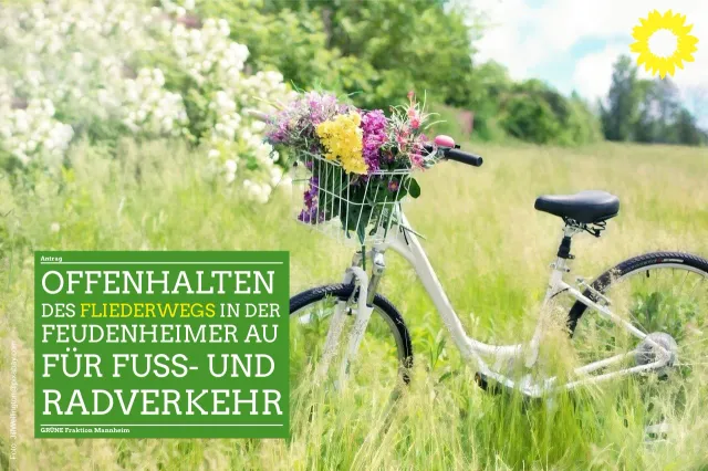 Offenhalten des Fliederwegs in der Feudenheimer Au für Fuß und Radverkehr