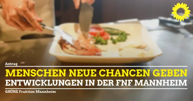 Entwicklung der „FnF Mannheimer Gesellschaft zur Förderung von Arbeitsplätzen GmbH“