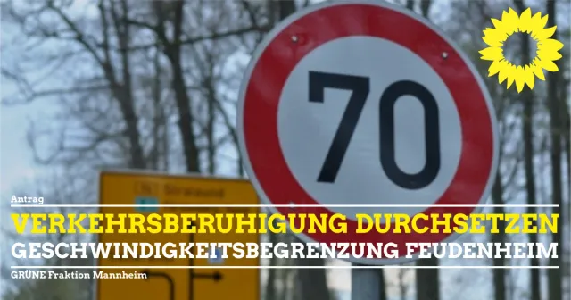 Geschwindigkeitsbeschränkungen Feudenheim