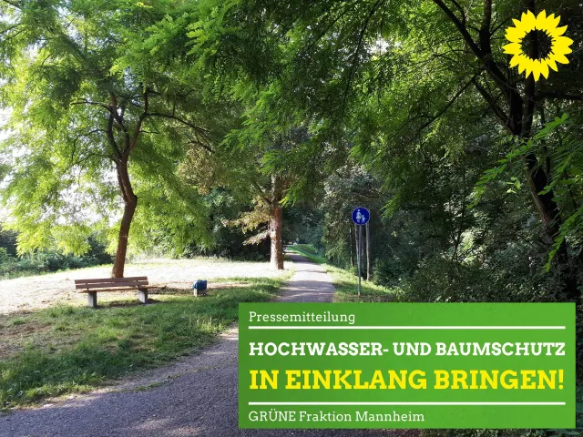 Hochwasser und Baumschutz in Einklang bringen!