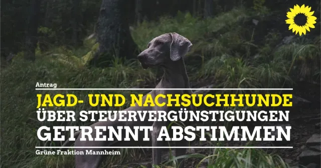 Getrennte Abstimmung Beschlussvorlage V 124/2020 zur Änderung der Hundesteuersatzung