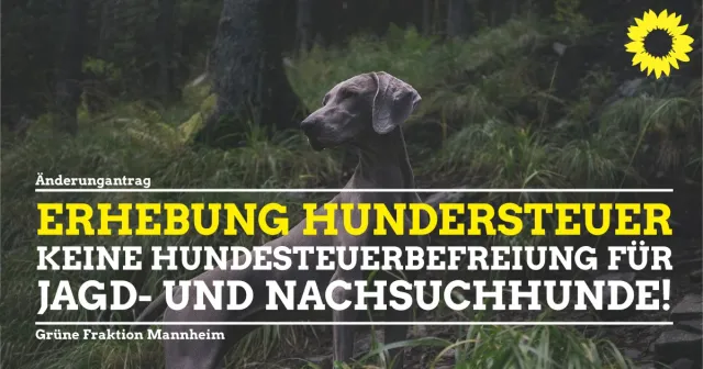 Änderungsantrag zu V 124/2020 „Satzung zur Änderung der Satzung über die Erhebung der Hundesteuer in Mannheim“
