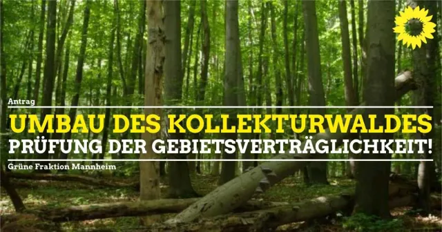 Prüfung der Natura 2000-Gebietsverträglichkeit für den Kollekturwald