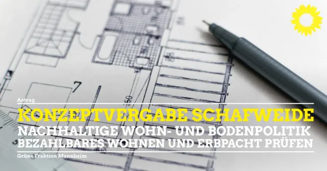 Konzeptvergabeverfahren Schafweide