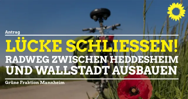Sicherheit für die Fahrradstrecke zwischen Heddesheim und Wallstadt