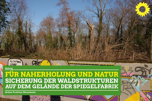 Grüne Lunge Spiegelfabrik