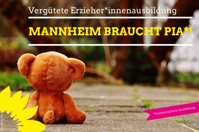 Anzahl der PIA-Ausbildungsplätze in Mannheim