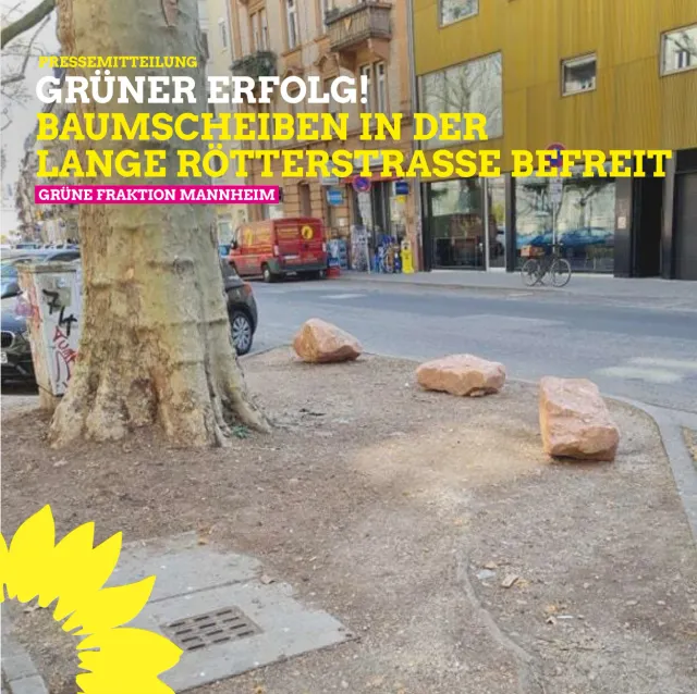 Baumscheiben endlich befreit