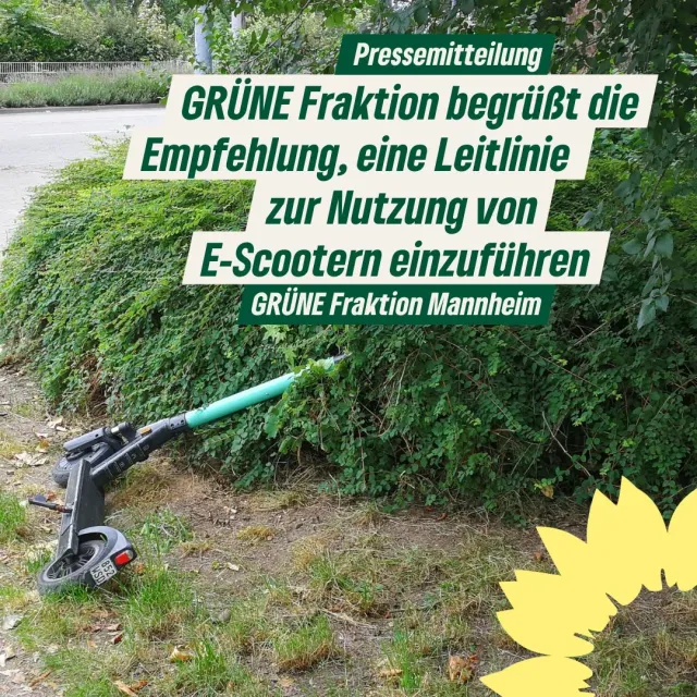 GRÜNE Fraktion begrüßt die Empfehlung, eine Leitlinie zur Nutzung von E-Scootern einzuführen