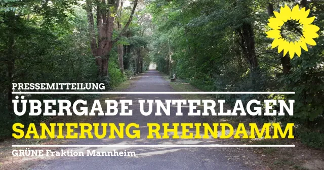 Spundwandlösung zugunsten des Baumerhalts untersuchen