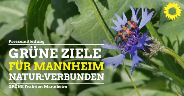 Internationaler Tag der Umwelt