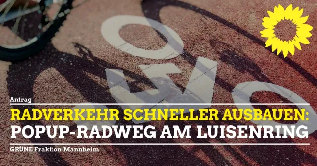 Luisenring Popup-Radweg vor 2024