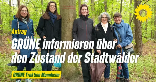 Waldbegehung im Dossenwald: GRÜNE Gemeinderatsfraktion informiert über den Zustand der Mannheimer Stadtwälder