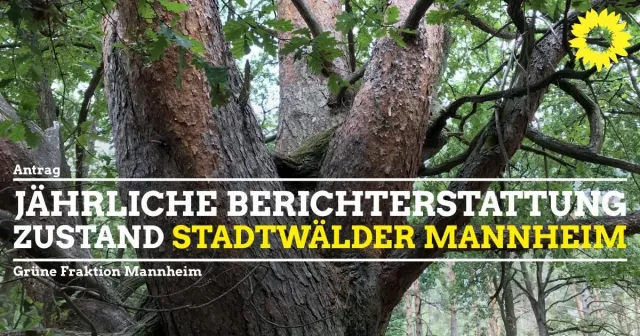 Jährliche Berichterstattung zum Zustand der Mannheimer Stadtwälder