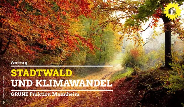 Stadtwald und Klimawandel
