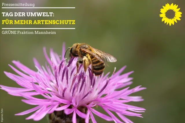 Tag der Umwelt: Für mehr Artenschutz