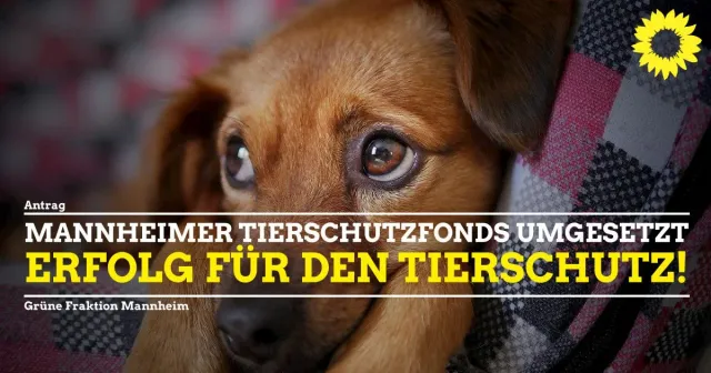 Mannheimer Tierschutzfonds umgesetzt